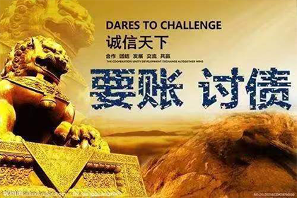 起诉无力偿债应对策略及强制执行风险
